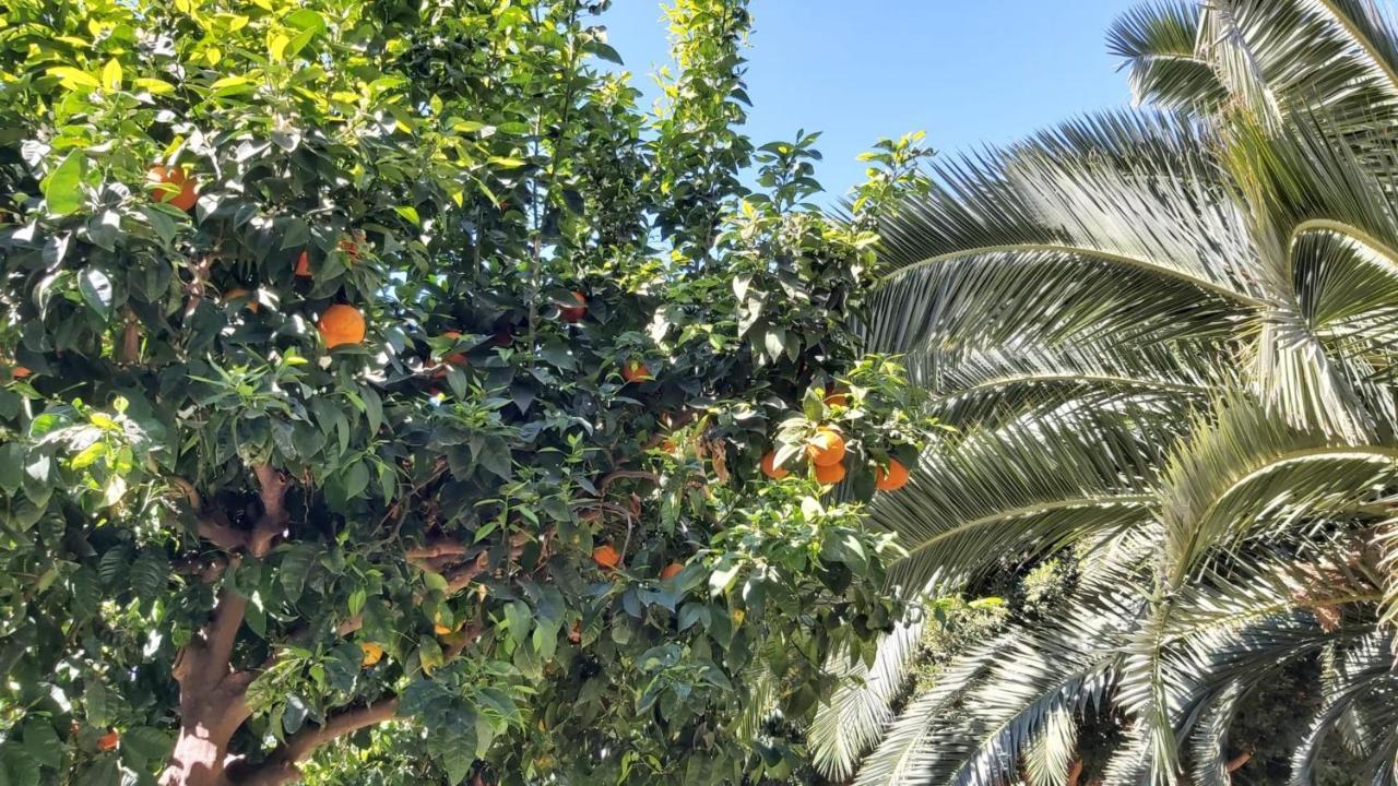 Del Parque Flats Urban Διαμέρισμα Μάλαγα Εξωτερικό φωτογραφία